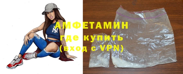 молекула духа Новозыбков