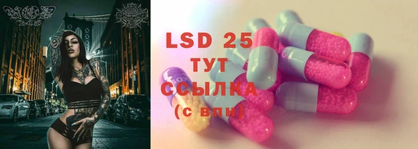 крисы Новодвинск