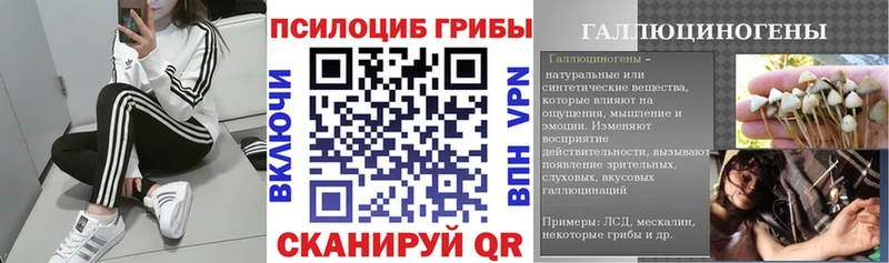 Псилоцибиновые грибы ЛСД  Пугачёв 